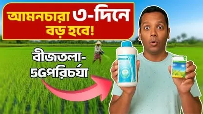 imgi_35_534844953_122146458374758335_7178496201049172621_n_converted